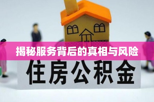 春日揭秘服务背后的真相与风险